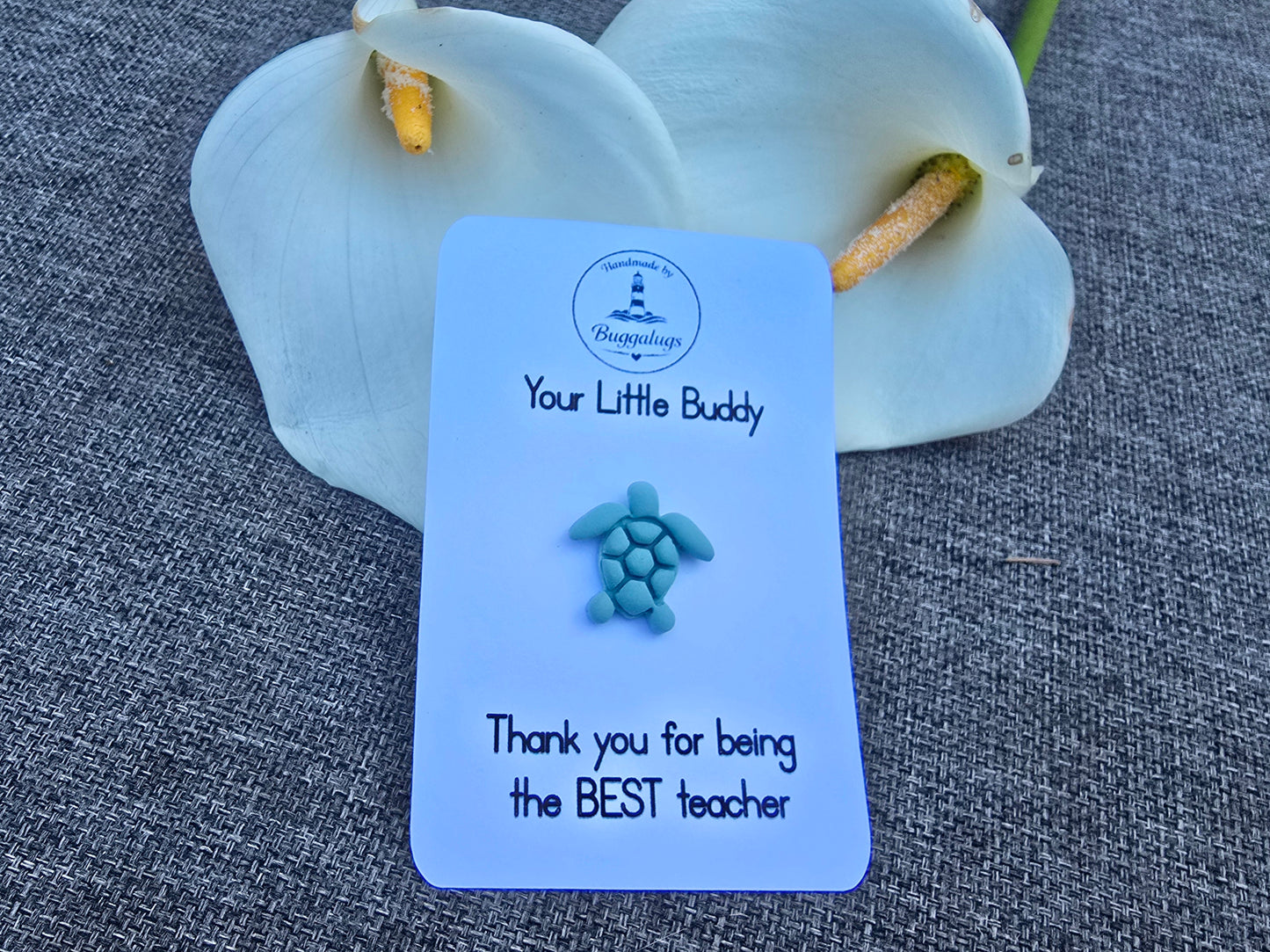 Turtle pin badge teachers gift